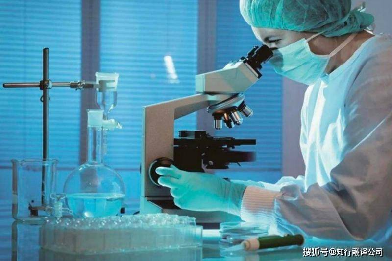 挑选生物技术翻译服务的四大关键考量——北京翻译公司经验总结